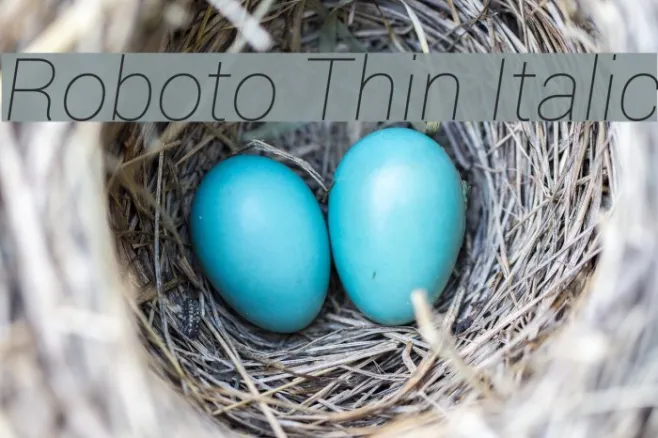 Roboto Thin Italic Example 3