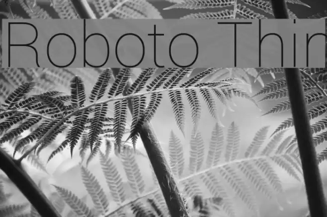 Roboto Thin Font examples
