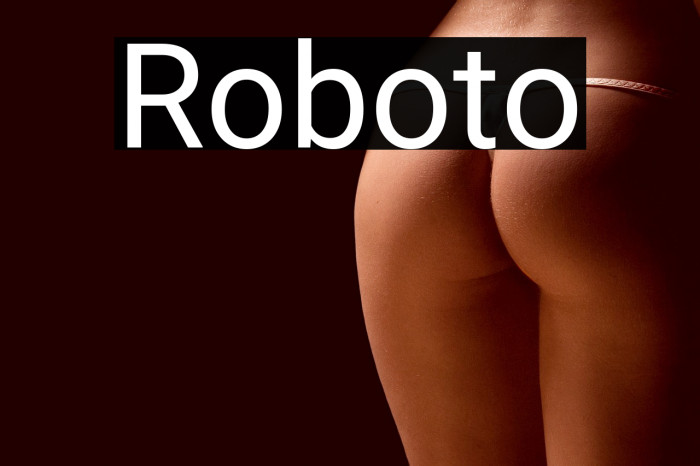 Roboto Example 3