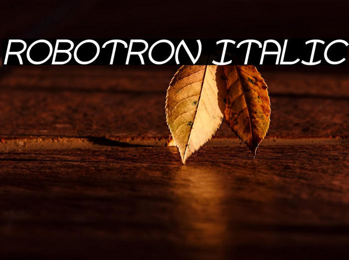 Robotron Italic Example 1