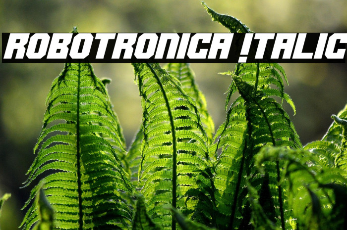 Robotronica Italic Example 2