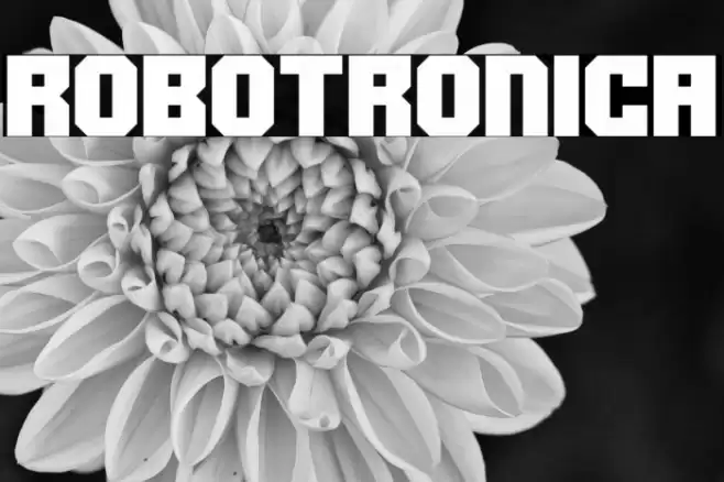 Robotronica Font examples