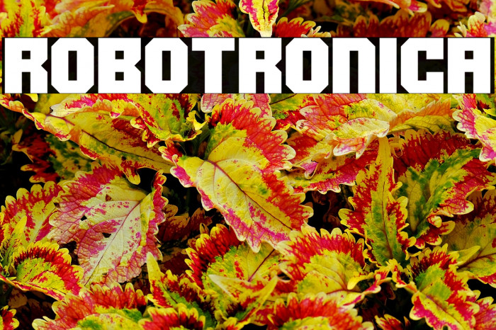 Robotronica Example 2