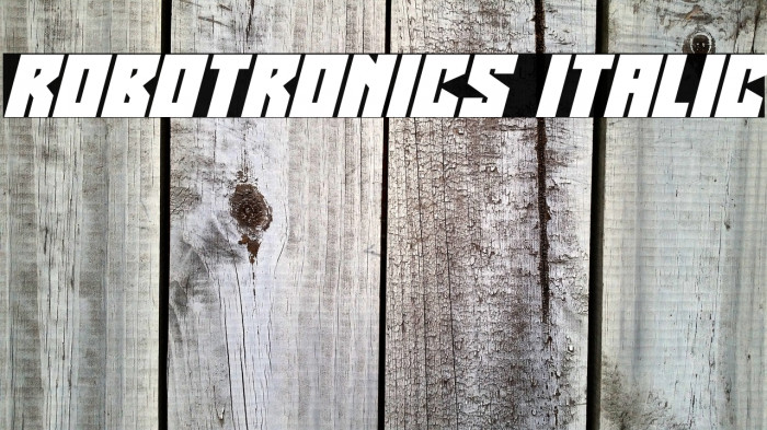 Robotronics Italic Example 2