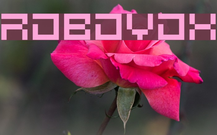 Robovox Font examples