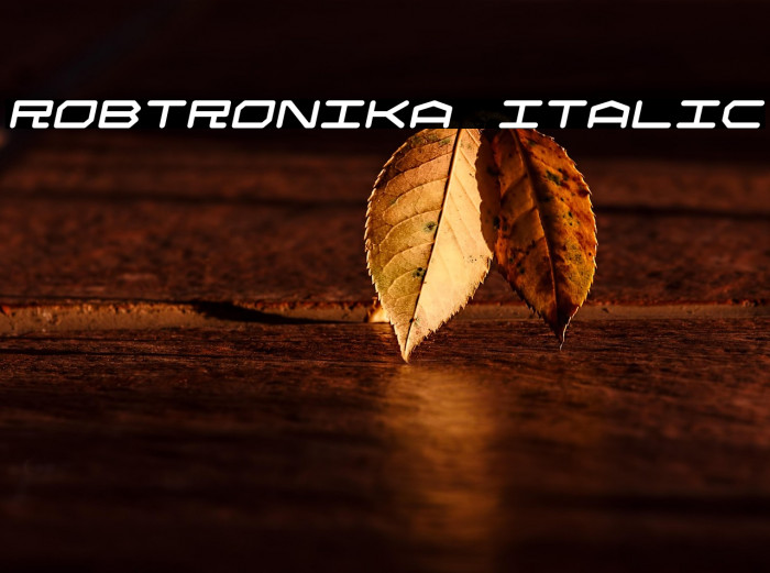 Robtronika Italic Example 2