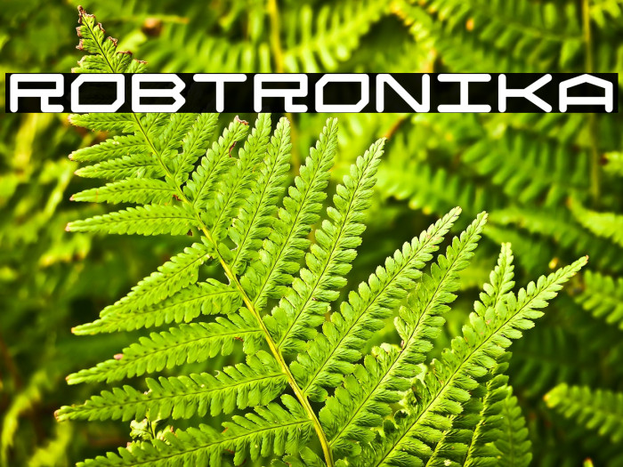 Robtronika Example 2