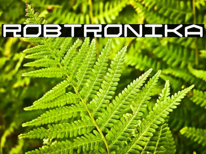 Robtronika Example 2