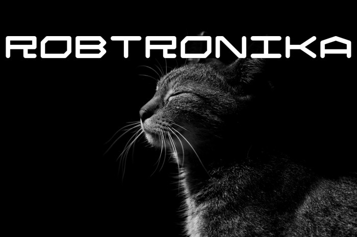 Robtronika Example 3