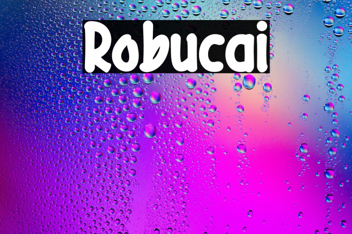 Robucai Example 1
