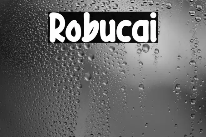 Robucai Font examples