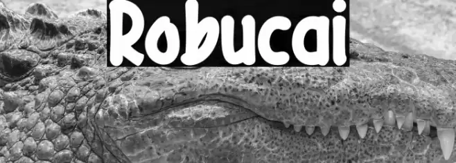 Robucai Font examples