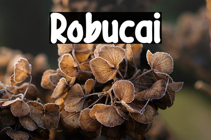 Robucai Example 3