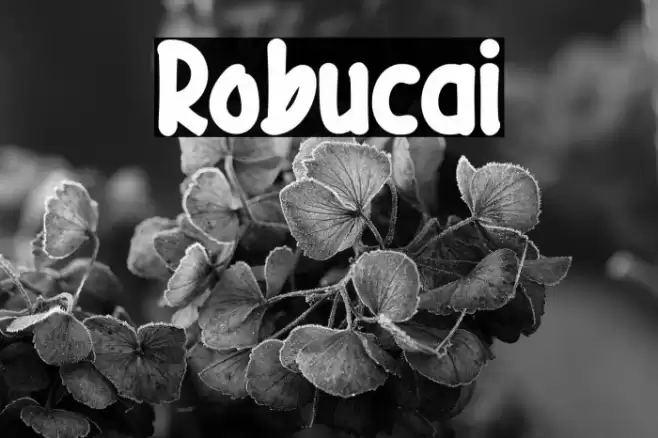 Robucai Font examples