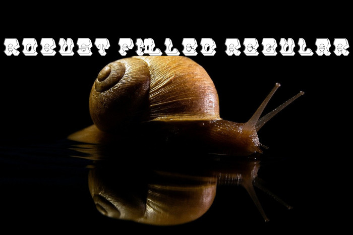 Robust Filled Regular Example 1