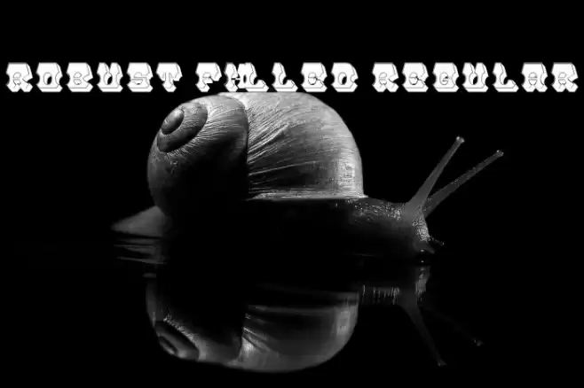 Robust Filled Regular Font examples