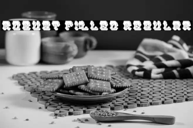 Robust Filled Regular Font examples