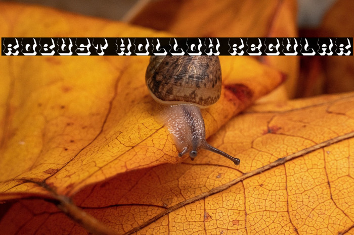 Robust Hollow Regular Example 1