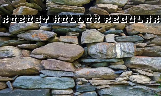 Robust Hollow Regular Example 2