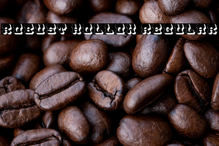 Robust Hollow Regular Example 3