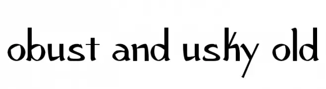 Robust and Husky Bold 