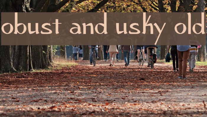 Robust and Husky Bold Example 1