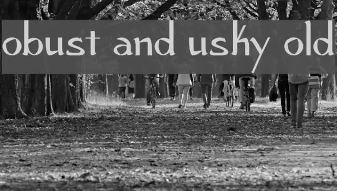 Robust and Husky Bold Font examples