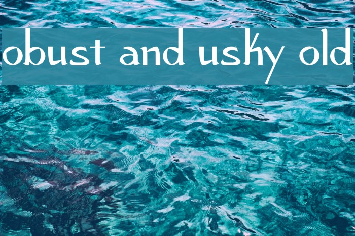 Robust and Husky Bold Example 2