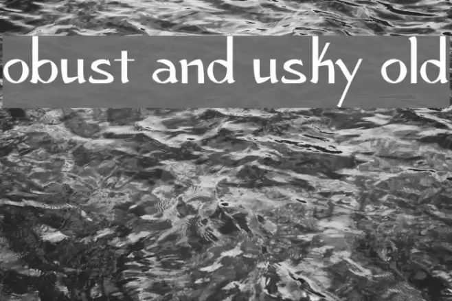 Robust and Husky Bold Font examples