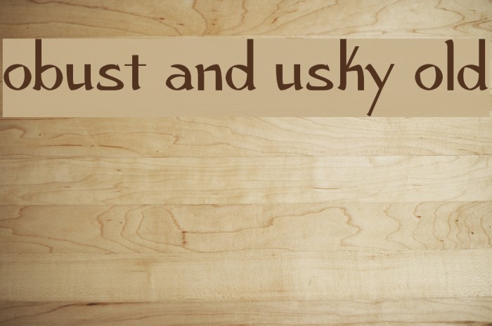 Robust and Husky Bold Example 3