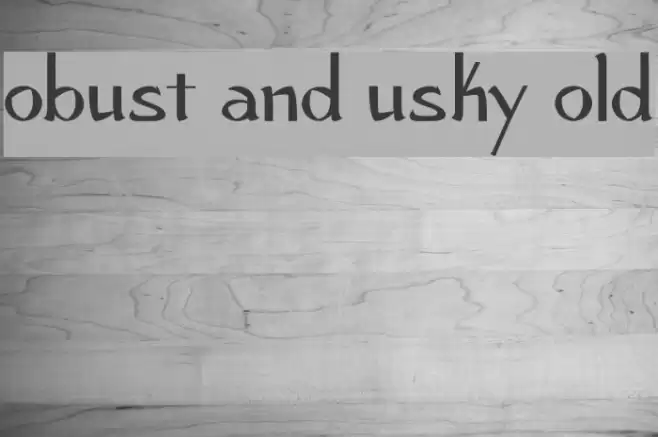 Robust and Husky Bold Font examples