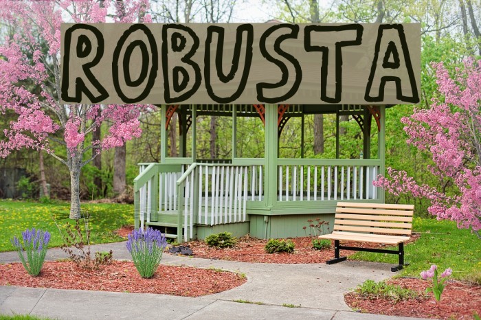 RobustA Font examples