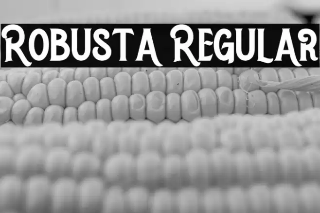 Robusta Regular Font examples
