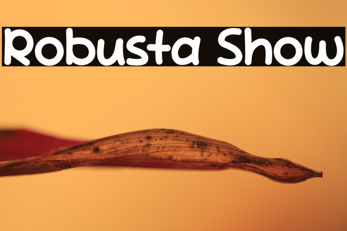 Robusta Show Example 1