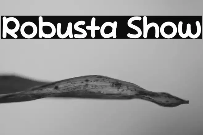 Robusta Show Font examples