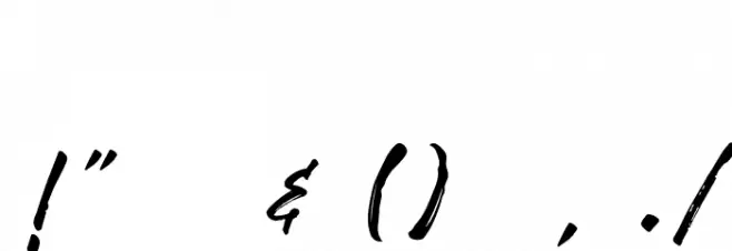 RobustaDemo Font OTHER CHARS