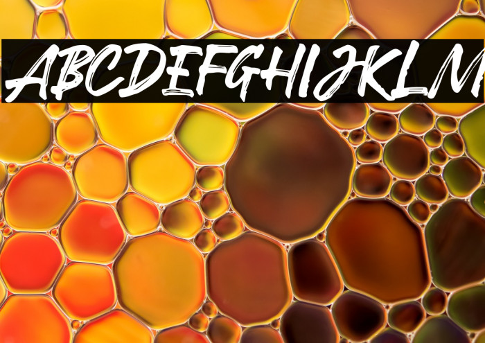 RobustaDemo Example 1