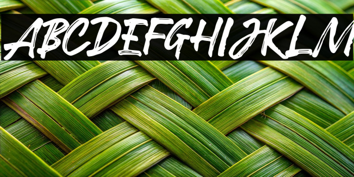 RobustaDemo Example 2