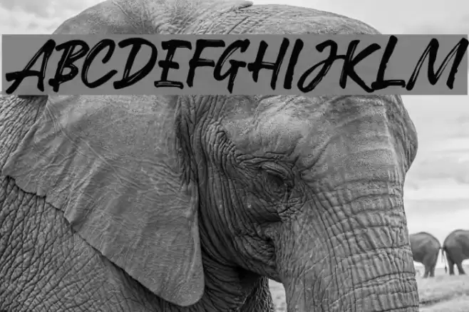 RobustaDemo Font examples