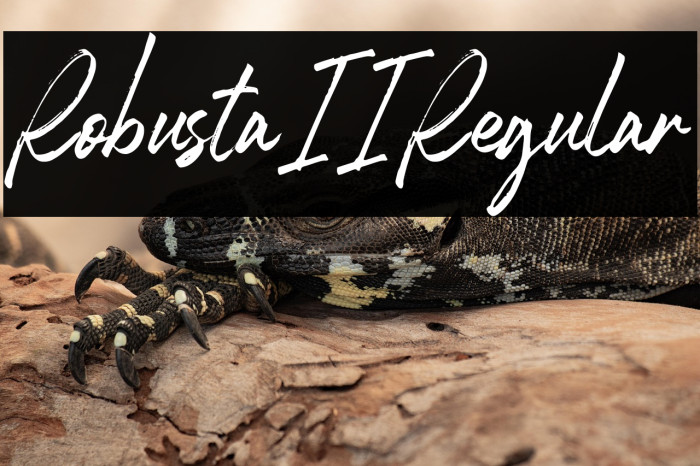 RobustaII-Regular Example 2