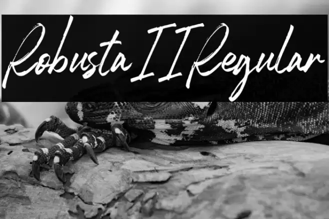 RobustaII-Regular Font examples