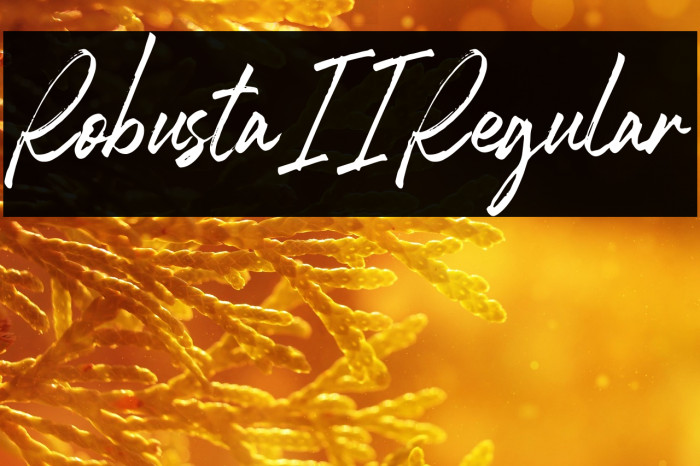 RobustaII-Regular Example 3