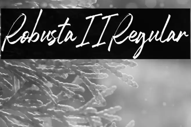 RobustaII-Regular Font examples