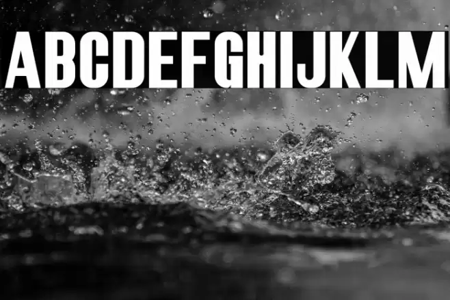 RobustaIISans-Regular Font examples