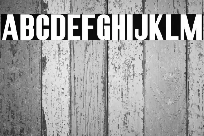 RobustaIISans-Regular Font examples