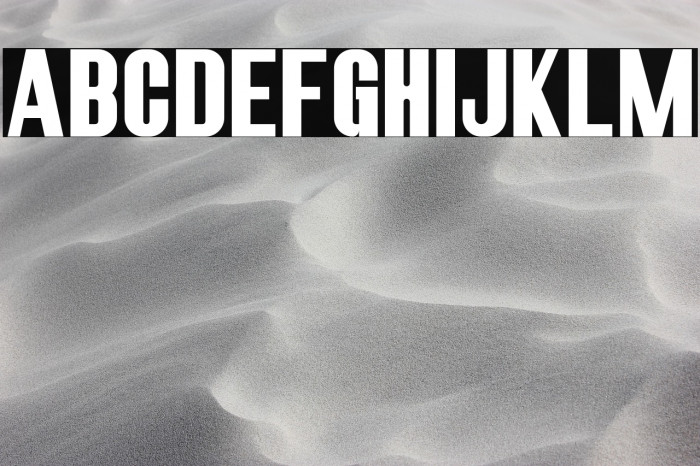 RobustaIISans-Regular Example 3