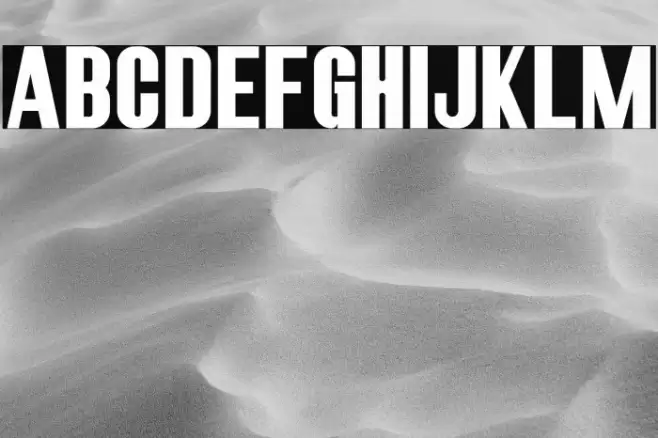 RobustaIISans-Regular Font examples