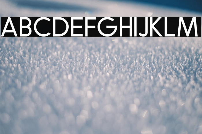 RobustaSansDemo Example 1