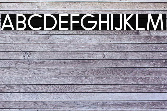 RobustaSansDemo Example 3