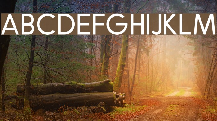 RobustaSansDemo Font examples